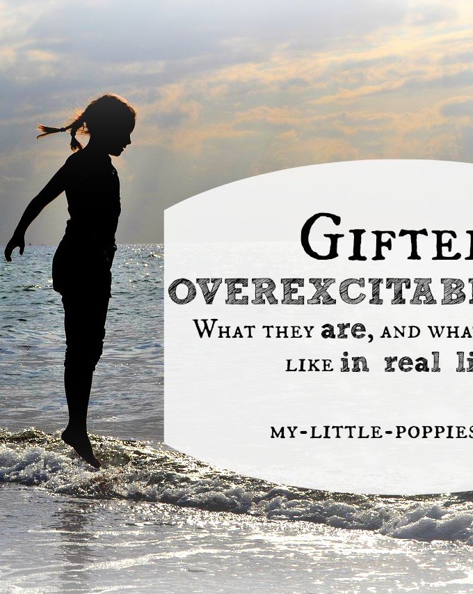 Gifted Overexcitabilities: OEs IRL