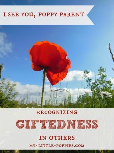 I See You, Poppy Parent {Recognizing Giftedness}