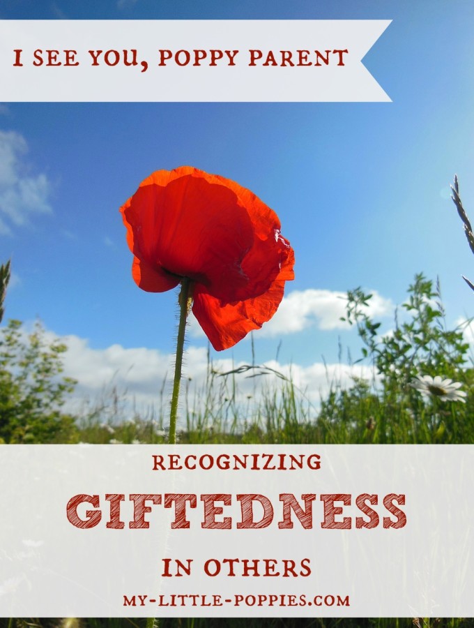 I See You, Poppy Parent {Recognizing Giftedness in Others}