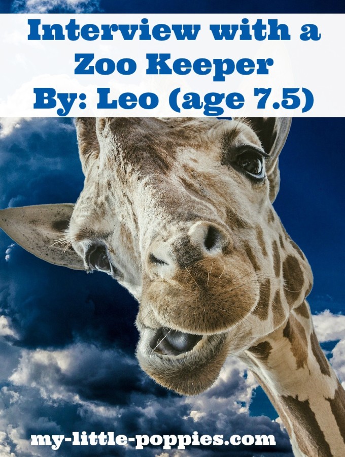 Interview with a Zoo Keeper by Leo