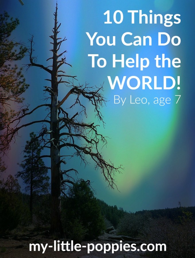 10 Things You Can Do To Help the WORLD