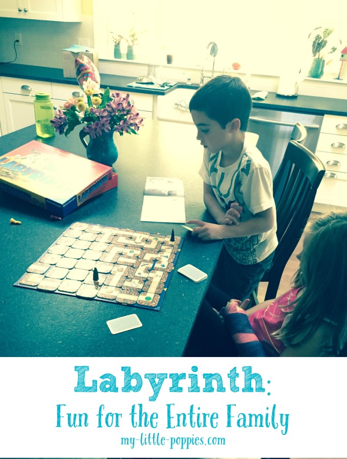 Labyrinth: Fun for the Entire Family