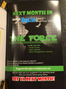 BrickSwag: A Monthly Building Kit