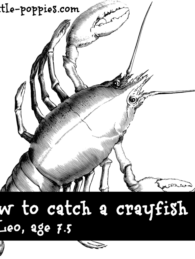 How to Catch a Crayfish
