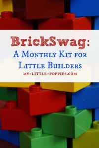 BrickSwag: A Monthly Building Kit BrickSwag A Monthly Kit For Little Builders and LEGO Lovers!