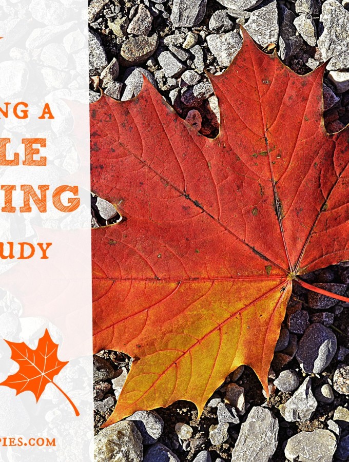 Planning a Maple Sugaring Unit Study