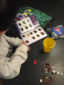 BrickSwag: A Monthly Building Kit