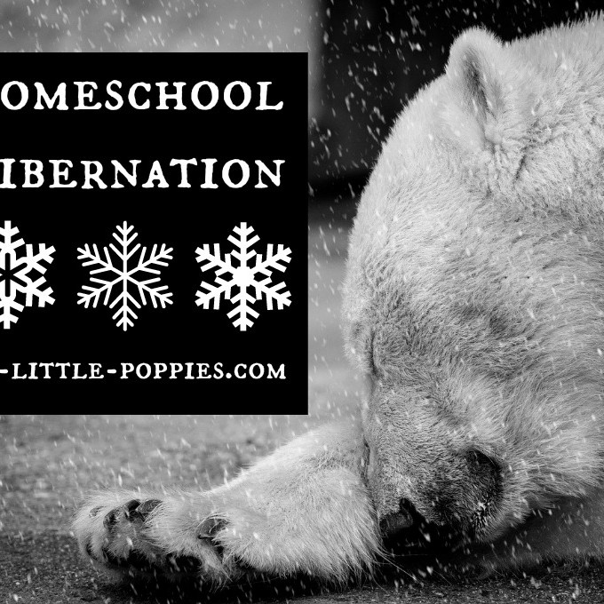 Homeschool Hibernation