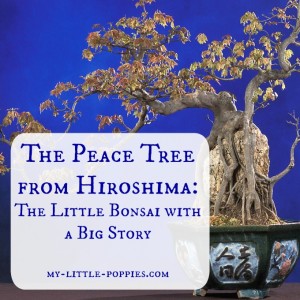 The Peace Tree from Hiroshima The Little Bonsai with a Big Story