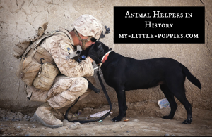 Animal Helpers in History