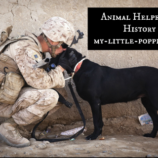 Animal Helpers in History