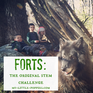 Forts: The Original STEM Challenge