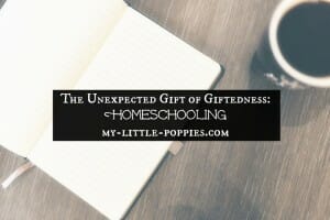 The Unexpected Gift of Giftedness Homeschooling