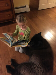 animal helpers in history candlewick press homeschool history animal books