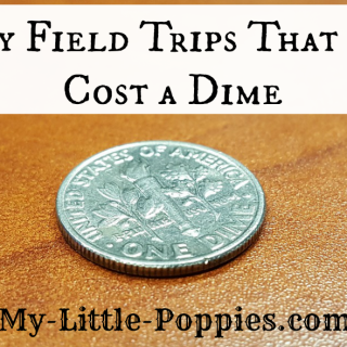 5 Lazy Field Trips That Don’t Cost a Dime