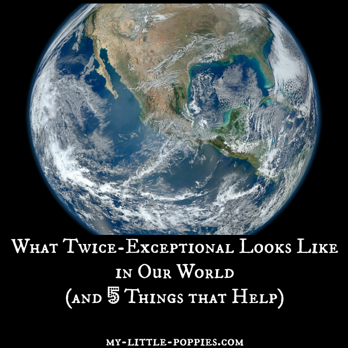 2E, gifted, twice-exceptional, homeschool, homeschooling, parenting, special needs