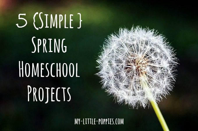 homeschool, homeschooling, spring, summer, learning, unit study, projects