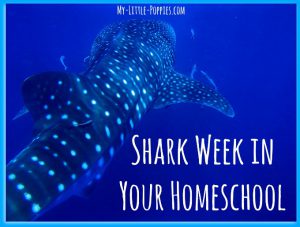 Shark Week in Your Homeschool