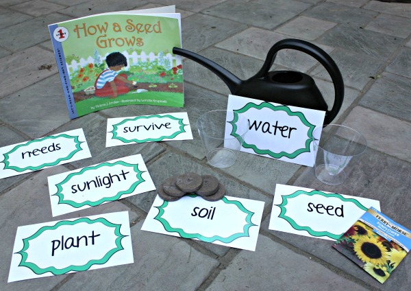 Insight to Learning Lesson 1