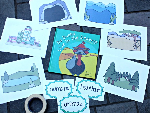 Insight to Learning Lesson 1