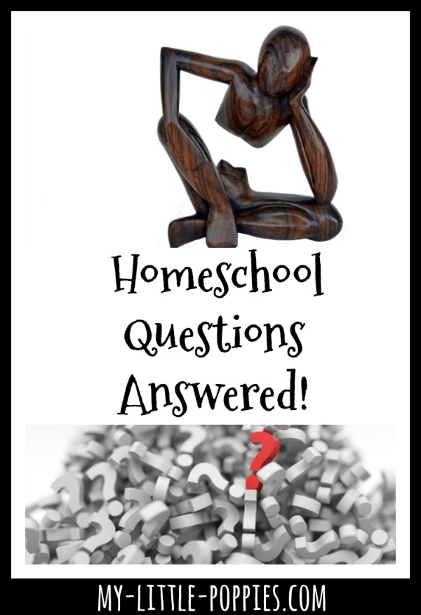 Homeschool Questions Answered! | My Little Poppies