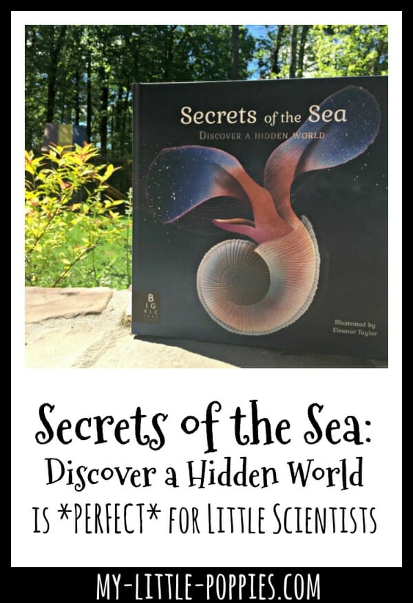 Secrets of the Sea: Discover a Hidden World is *PERFECT* for Little Scientists | My Little Poppies