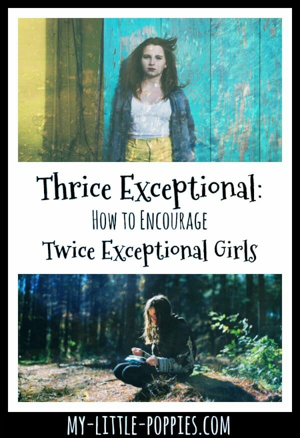 Thrice Exceptional: How to Encourage Twice Exceptional Girls {Guest Post from Sophie Miller of ThinkFun} | My Little Poppies
