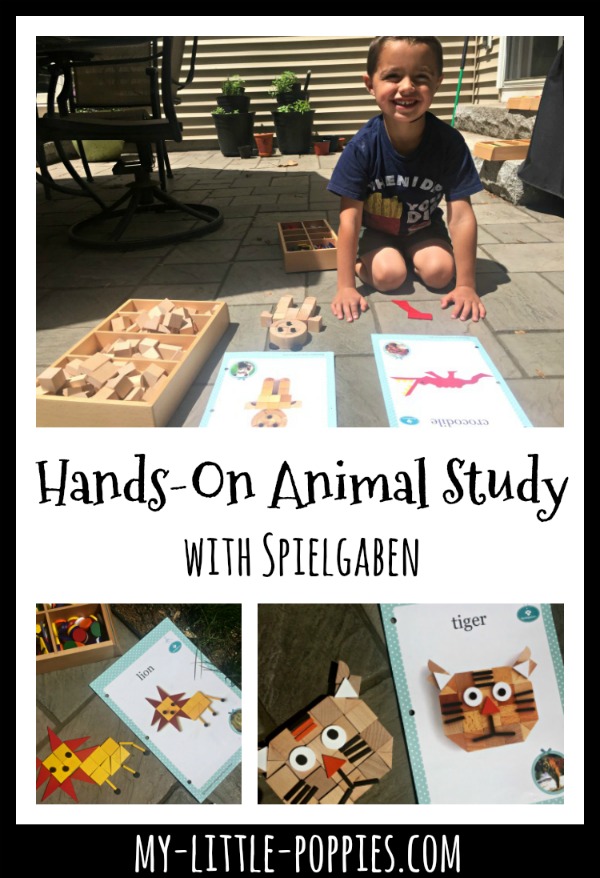Hands-On Animal Study with Spielgaben | My Little Poppies