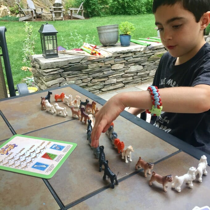 Gameschooling 101 | My Little Poppies