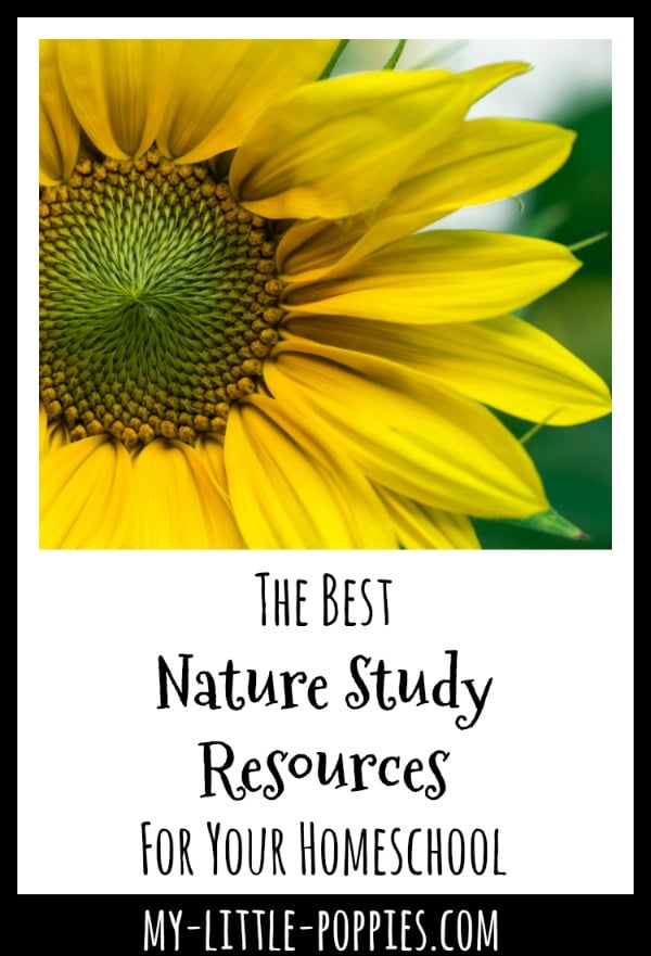 The Best Nature Study Resources For Your Homeschool | My Little Poppies