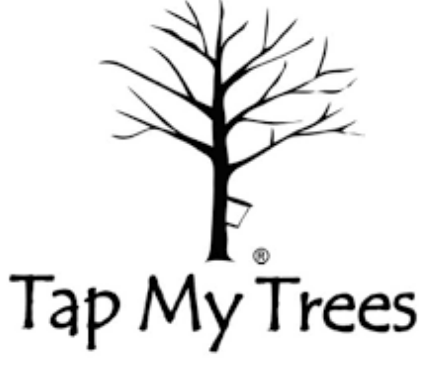 Screen Shot 2018-12-22 at 4.01.04 PM