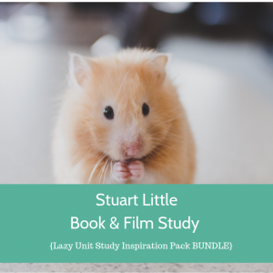 Stuart Little by E.B. White Study {Lazy Unit Study Inspiration Pack} | My Little Poppies