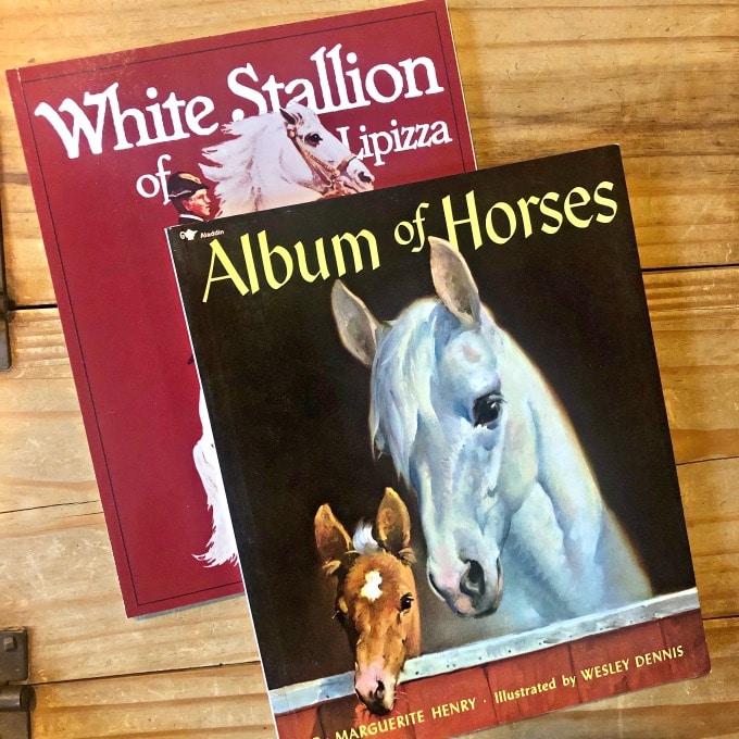 History of the Horse: A Fun Homeschool Rabbit Hole! | My Little Poppies