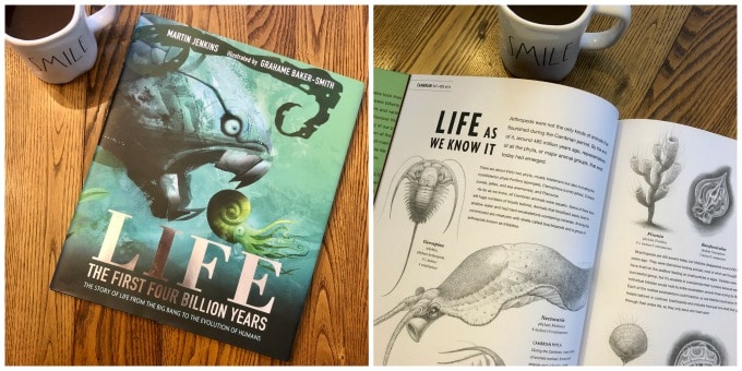 Oversized Picture Books from Candlewick Press for the Win! | My Little Poppies