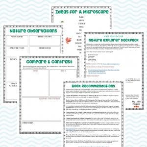 How to Explore Your Backyard with a Microscope | My Little Poppies