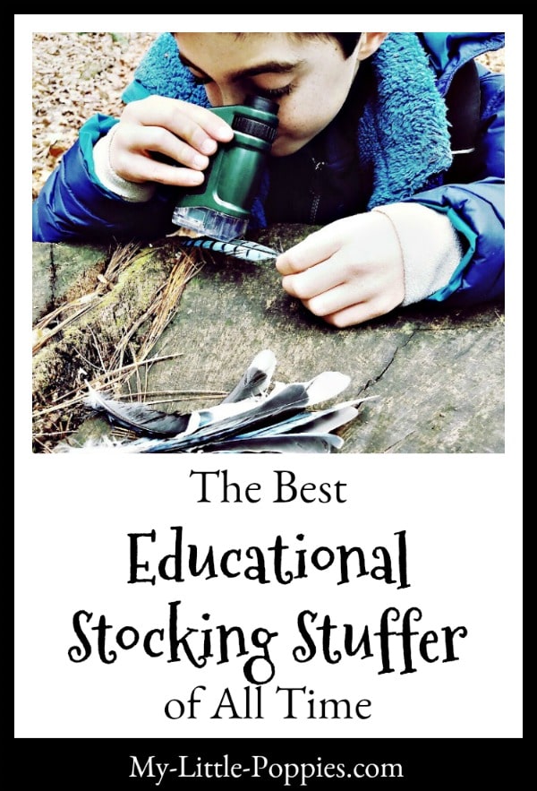 The Best Educational Stocking Stuffer of All Time | My Little Poppies